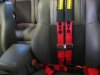 Harness 002 (Small).jpg