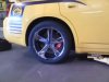 Super Bee 005.jpg