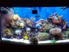 100_0406.jpg