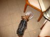 IMG_0107.JPG