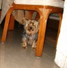 IMG_0096_2.jpg