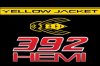 yellow jacket.jpg