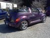 Plum with the Top Down #1.jpg