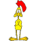 fnkychkn