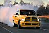 Yellow Venom 366