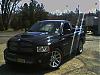 Stanimal