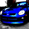 BgSRT4