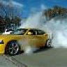 super bee chris